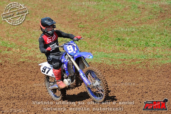 _DSC0970 (Copy).jpg